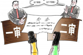 大田遇到恶意拖欠？专业追讨公司帮您解决烦恼