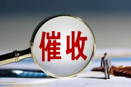 大田大田讨债公司服务