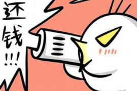 大田专业讨债公司有哪些核心服务？